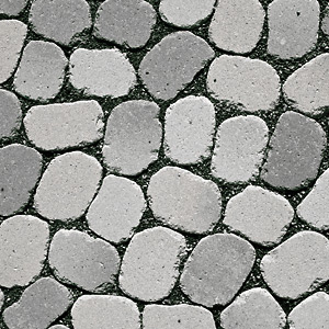 Arena_1
