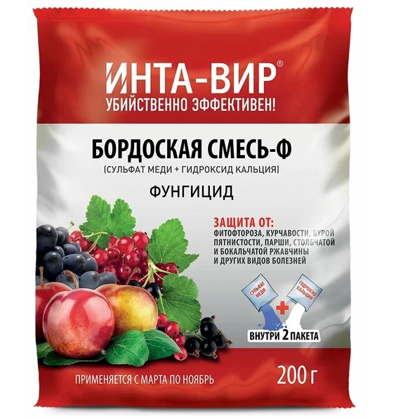 Снимок экрана_7-11-2024_134733_yandex.ru