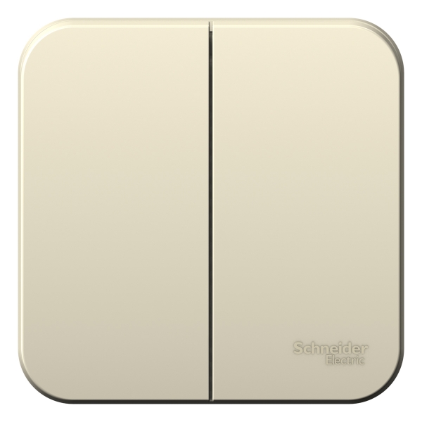 Выключатель Schneider Blanca 2-клавишный накладной молочный