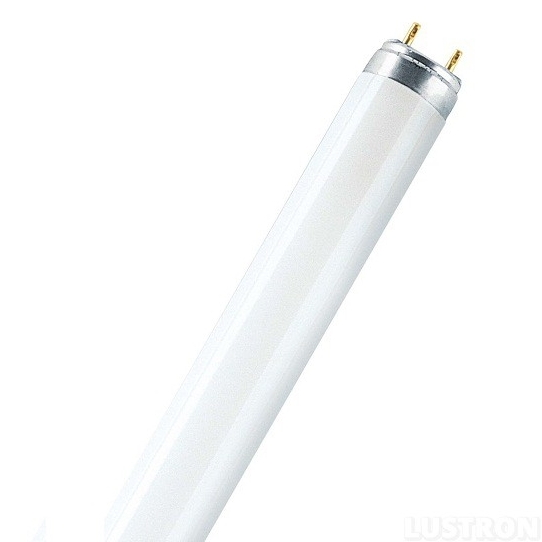 Лампа люминисцентная 36 W/G13  (1.2м) (25шт)