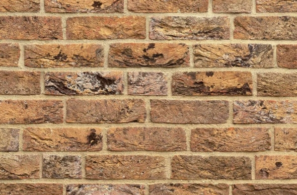 WhatsApp Image 2024-09-26 at 14.42.56