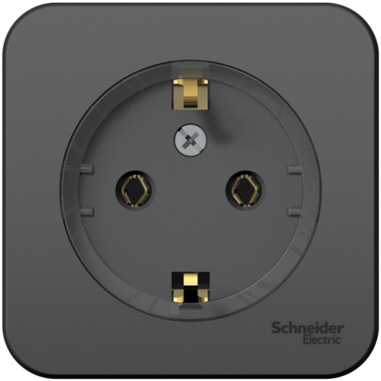 schneider_electric_blanca_s_zazemleniem_bez_shtorok_kompakt_izol._pl._16a_250v_antratsit_1616896_1