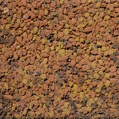 full_gr_autumn