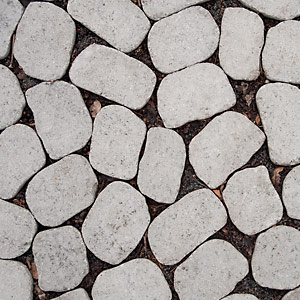 Arena_3