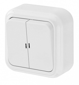 Выключатель 2-кл. с подсветкой, накладной А510-215 Пралеска Bylectrica (90)