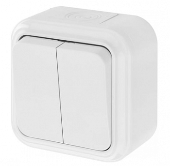 Выключатель 2-кл. накладной, ОУ IP54 А56-224 Пралеска Аква Bylectrica (60)