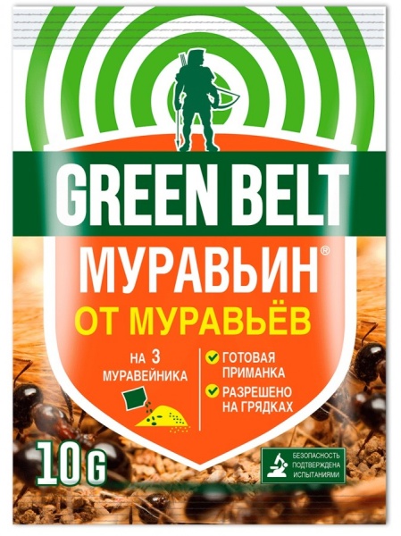 муравьин