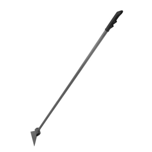 45454