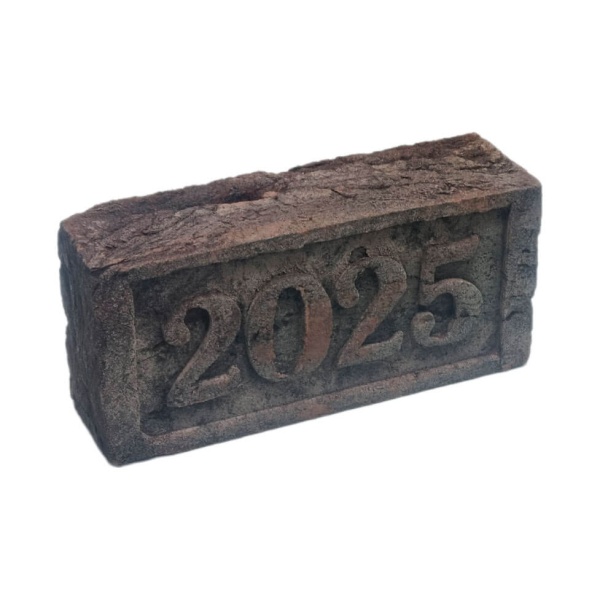 bricks_2025