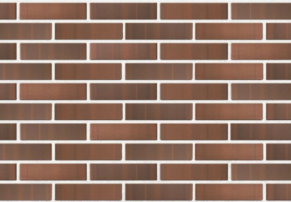 46464654