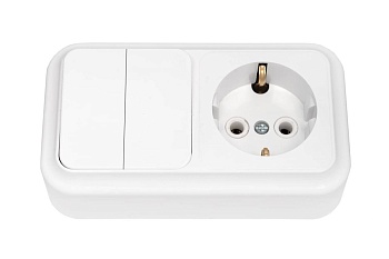 Блок (2-й выкл. + роз с/з ) белый ОУ IP54, 2В-РЦ-529 Пралеска Bylectrica (40)