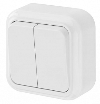 Выключатель 2-кл. накладной ОУ 6 А, А56-134 Пралеска Bylectrica (90)