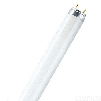 Лампа люминесцентная 36 W/G13 (1.2м) (25шт)