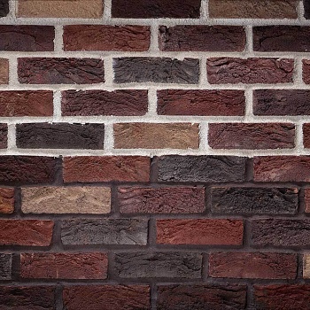Кирпич ручной работы Тонштайн WDF 1/2 "Модена" (W044) (1024)