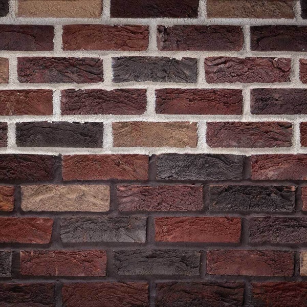 full_1194e7756517d517407e1cd766a462a6