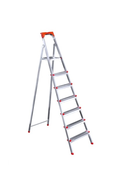 r7953a1dtrfjn64o8bjjdkaqt3ob5zfa