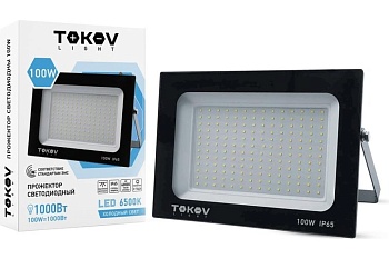 Прожектор светодиодный 100W/6500К/IP65 черный TOKOV LIGHT TKL-FL/LED-100-6.5K-IP65
