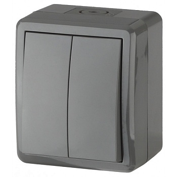 Выключатель 2-кл серый IP54, 10АХ-250В ЭРА Эксперт 11-1404-03