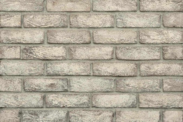 qGddbGdd7G924vhLpyRO