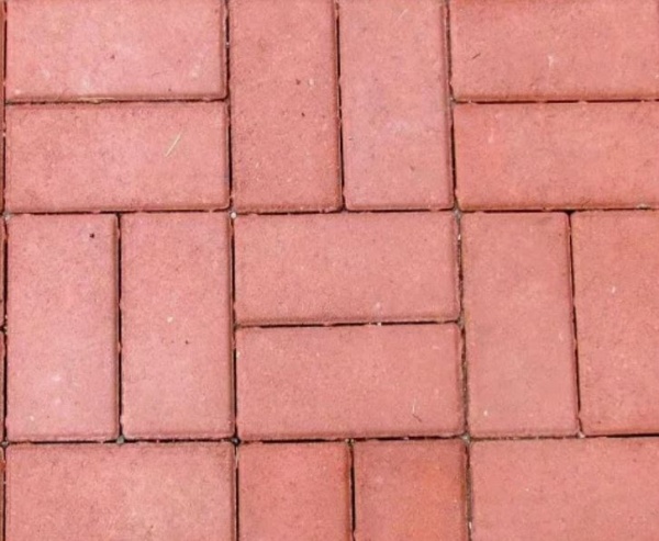 544