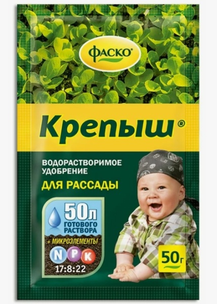 Снимок экрана_7-11-2024_13459_yandex.ru