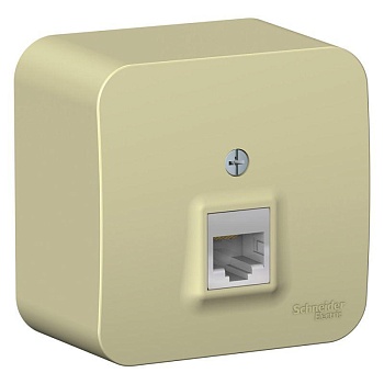 Розетка компьютерная 1-м ОП Blanca RJ45 кат.5E с изолир. пластиной беж. SchE BLNIA045007