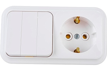 Блок (3-й выкл. + роз с/з) белая ОУ 3В-РЦ-531 Пралеска (40)