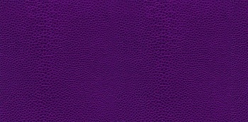 Краска аэрозольная акриловая Rayday 520 мл RAL 4010 фуксия RD-076