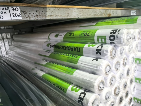 WhatsApp Image 2025-11-12 at 14.59.39